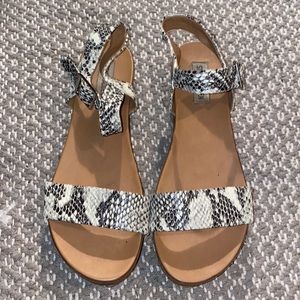 Steve Madden snake skin sandals size 9